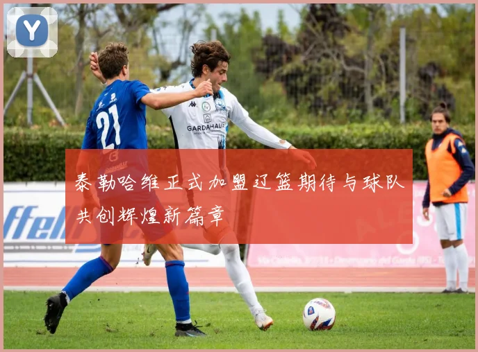 泰勒哈维正式加盟辽篮期待与球队共创辉煌新篇章