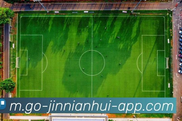 App Interface Preview